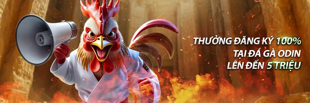 Thành viên VIP e2 bet vip tận hưởng ưu đãi độc quyền